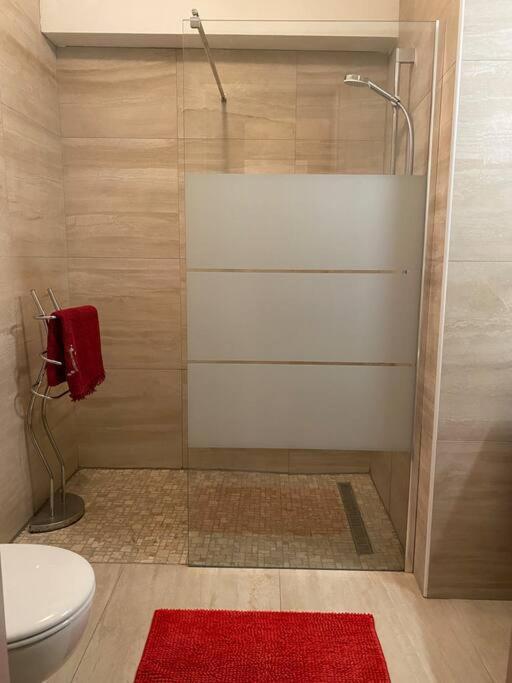 Charmant Appartement Renove Au Coeur Du Village Saint-Martin-Vésubie Εξωτερικό φωτογραφία